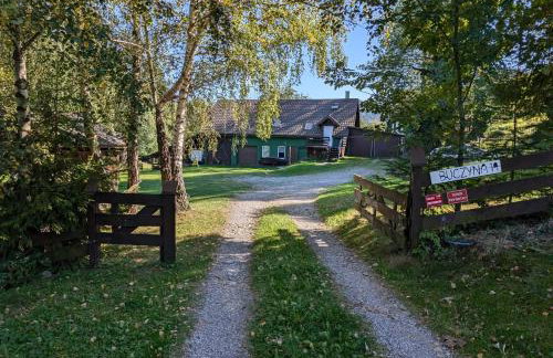 Apartament Buczyna - Foto 59