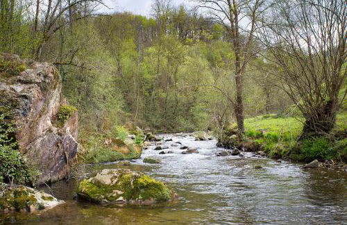 Casas Rurales Pandesiertos - Foto 11