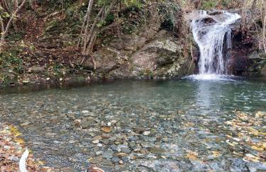 Gîte et jardin en bord de rivière - Foto 17