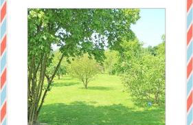 In the Green - Foto 38