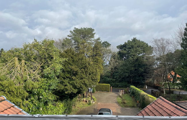 Studio/lickey Hills/near Attractions/garden/petok - Foto 8