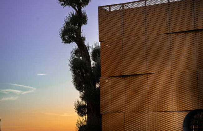 Visita al frantoio Oleícola Jaén con degustazione di olio - Foto 8