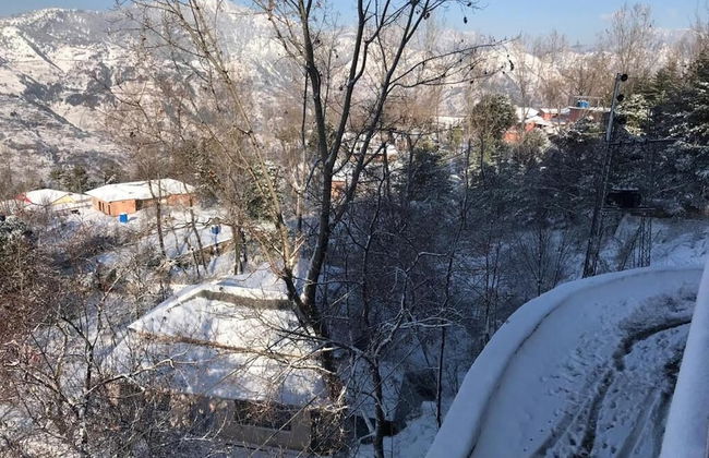 Green Valley Apartments - Photo 19