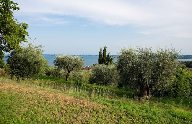 Residenza Elena - Foto 62