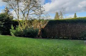 Neue Ferienwohnung direkt am Wald - Photo 13