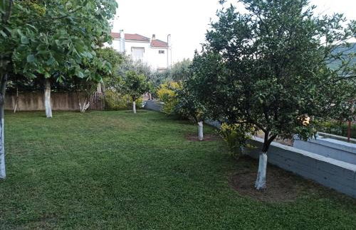 Oasis Apartments - Photo 39