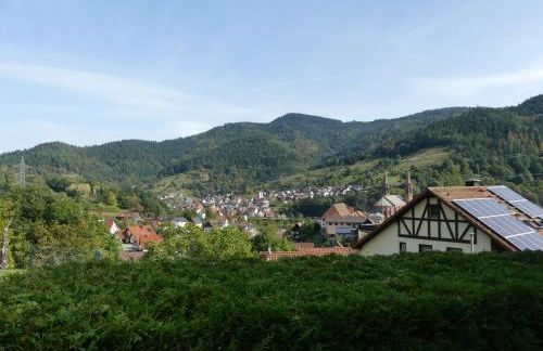Ferienwohnungen Sonnenhalde mit schöner Aussicht - Foto 5