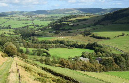 Healing Pastures Farm - Foto 20