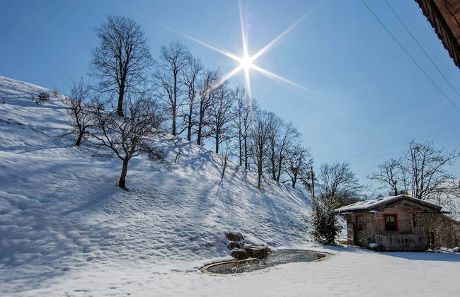 Huge Holiday Home in Hopfgarten im Brixental near Ski Lift - Foto 24