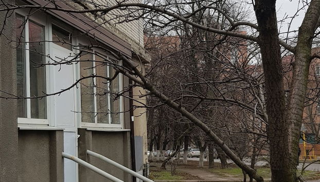 Entrada (vista interior)