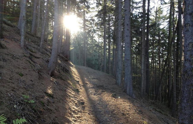 Lovely Holiday Home in Wernigerode near River - Foto 31