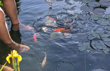 Ferienwohnung Schwalbennest - Foto 37