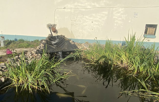 Farm Stay Property Pets and Families Welcome - Foto 22