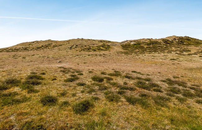 3 bedroom House in Sønderho - Photo 4