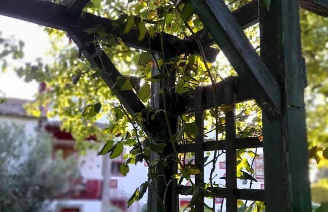 Lovely 6-bed Cottage in Braga Enjoy and Relax - Foto 1