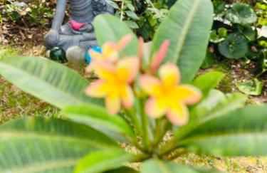 Cottage at FLAMINGAS PLACE - Photo 18