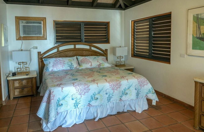 Virgin Gorda Villa Rentals - Foto 3