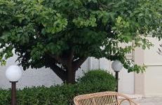 Casa vacanze Agrumeto - Foto 8