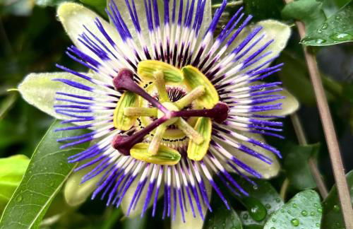 Glenesk No 1 , Woodhall Spa - Foto 58