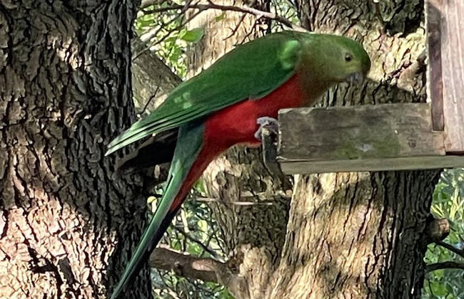 Tindoona Cottages - Foto 30