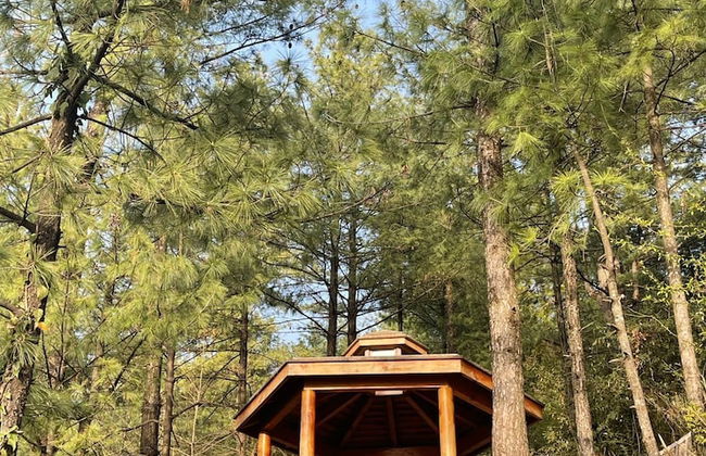 Orangeloft Glamp Park - Photo 16