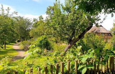 Ferienwohnung "Backsteinhaus Starkow" - Foto 17