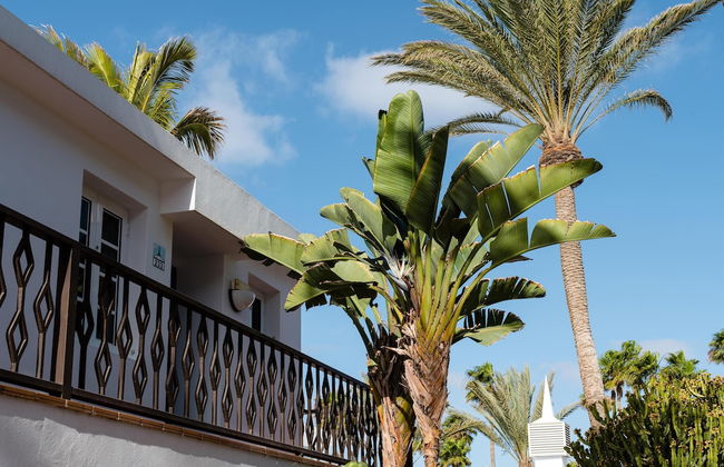 Plus Fariones Apartamentos - Photo 74