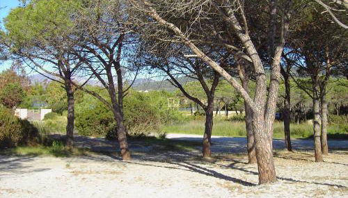 La Cuppulata - Foto 5