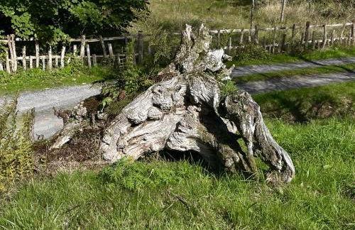 West Cottage - Foto 49