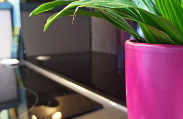 Villa Raphaël - Photo 6