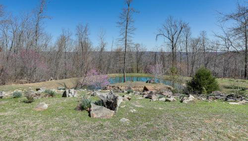 Bullfrog Bluff Mountain View Cabin with Deck! - Foto 3