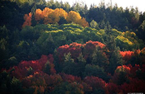 Location MarjoRI - T3 Le Kakariki - Foto 28