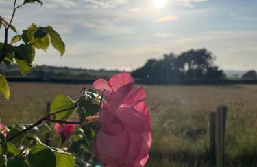 Dorset Stay, Coast & Countryside - Photo 8