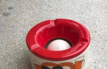 Gîte Les Acacias - Foto 49