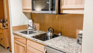 Suncadia Lodge Studio Unit - Foto 3