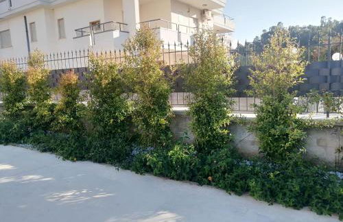 Residence Mare Azzurro - Foto 7