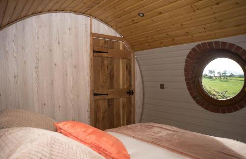 Foxes View - Foto 17