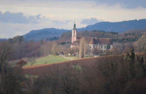 Bodenseepanorama Oberuhldingen - Foto 39