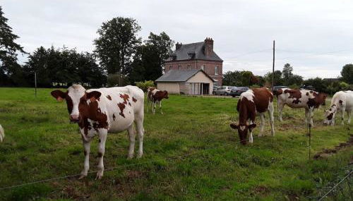 Chez DOUDOU entre terre et mer - Foto 5