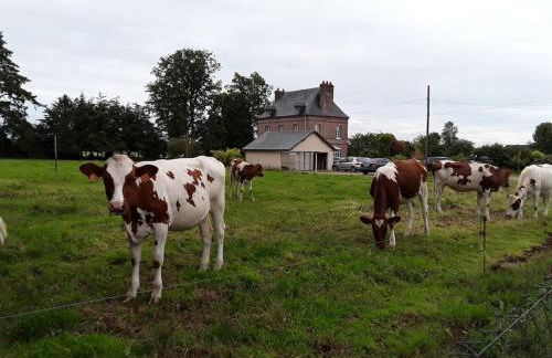Chez DOUDOU entre terre et mer - Foto 5