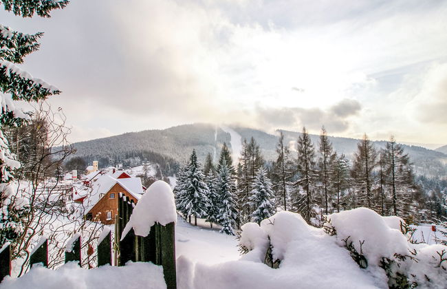 Albrechtice - Foto 40