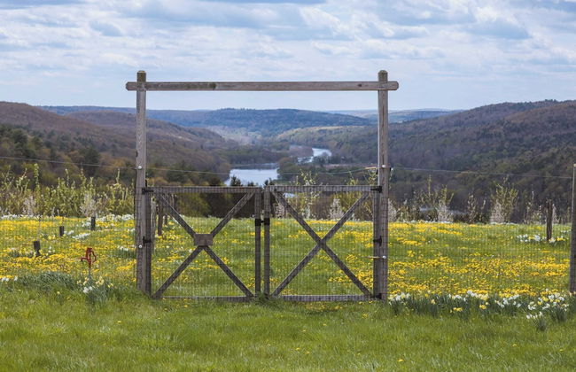 Meadow House at Seminary Hill by Avantstay - Photo 9