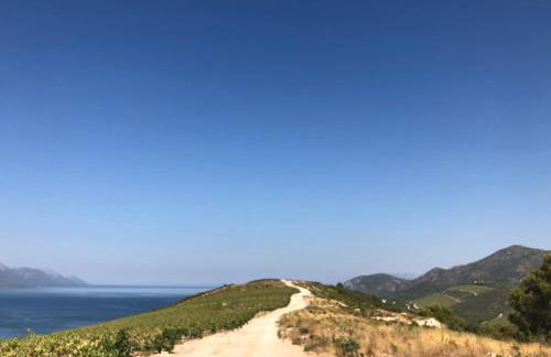 Fig Tree Apartment - Foto 31