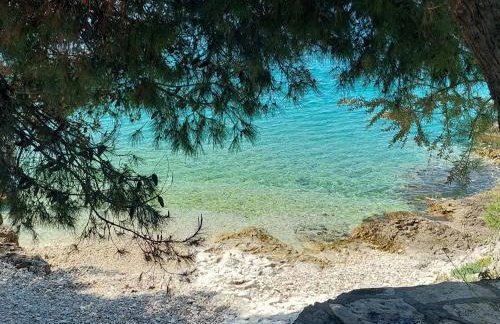 Penthouse Dream Look - Foto 33