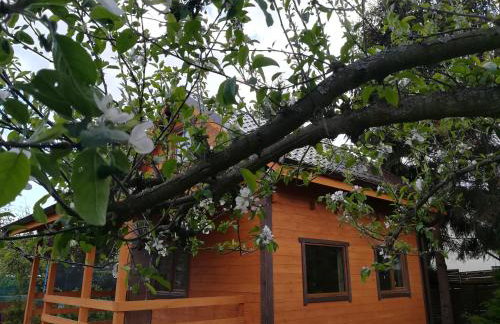 Domek pod jabłonią Mikoszewo - Foto 8