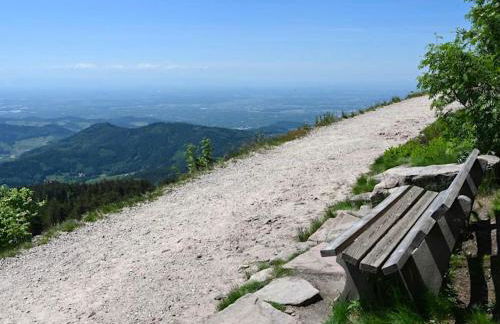 Ferienwohnung Schwarzwald Tannenzäpfle - Foto 68