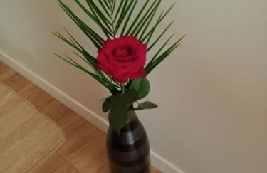 Gîte des Graves de Lilou - Foto 60