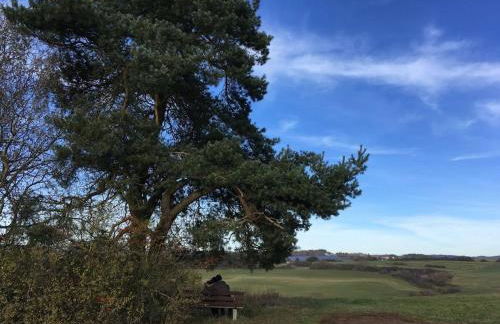 Eifelcottage Wren - Foto 32