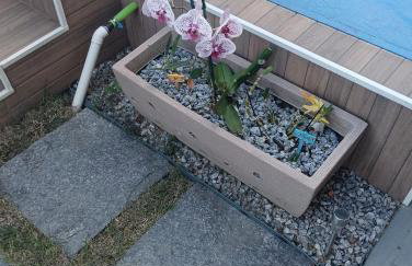 Jardim das Orquídeas 1 - Foto 37