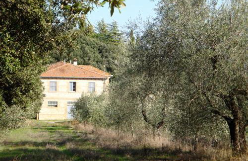 Palazzo Di Piero - Photo 53